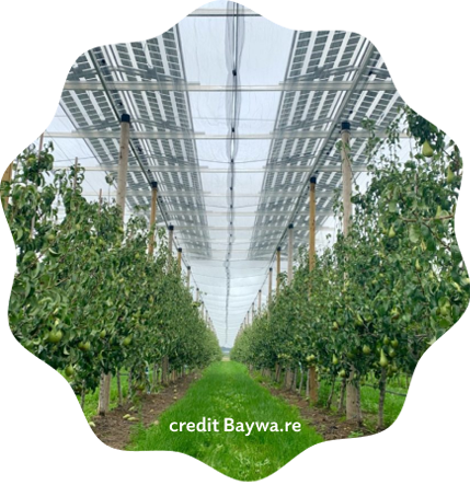 Maximiser la synergie des productions