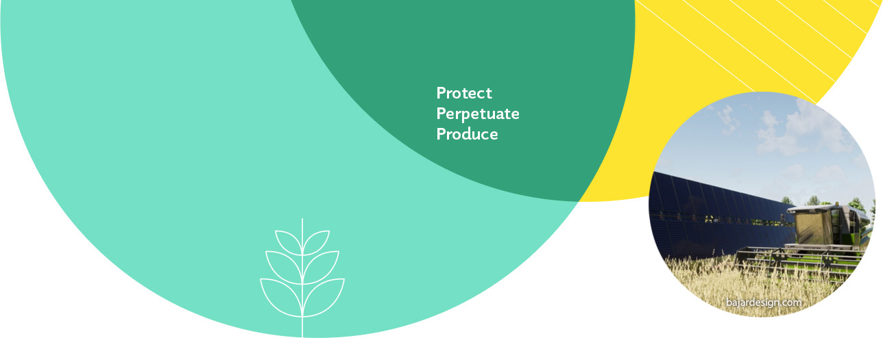 The expert partner for your agrivoltaic projects