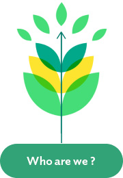 Agrisoleo offers unique expertise during the project development phase thanks to our experience, our methodology and our software tools developed specifically for agrivoltaics.