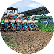 Accompagnement institutionnel et réglementaire pour projets agrivoltaïques
