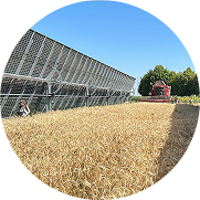 Optimisation des choix techniques et étude du pilotage agrivoltaïque