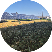 Rédaction de l’étude préalable agricole (EPA)