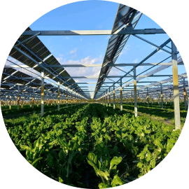 Étude de synergie agricole